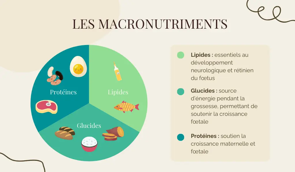 nutriments grossesse